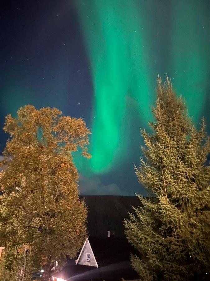 Tromso Arctic Villa With Free Parking Exteriér fotografie